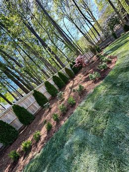 A lush green lawn surrounded by trees and bushes in a backyard.