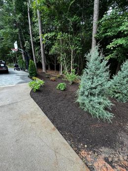 A car is parked in a driveway next to a lush green forest.