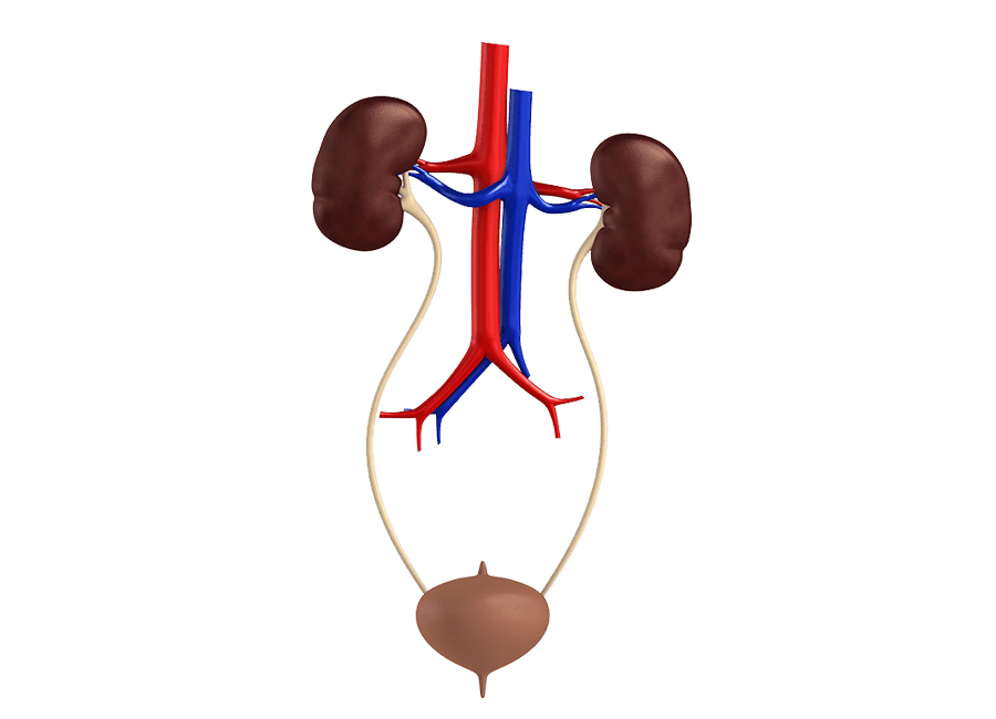 DR. HERNÁN LEÓN VELASCO - ENFERMEDADES DEL RIÑÓN