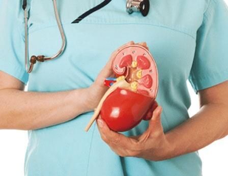 DR. HERNÁN LEÓN VELASCO - MÉDICO URÓLOGO