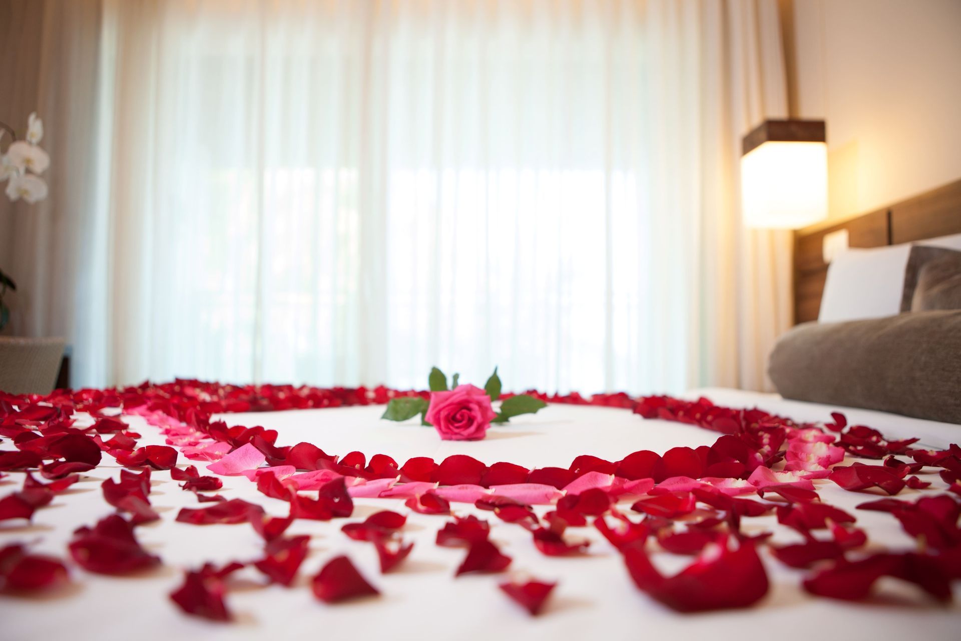 Uma cama está decorada com pétalas de rosa e uma rosa no meio