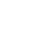 Dark gray shield with the letters