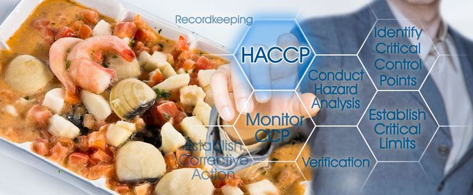 Persona che indica un diagramma HACCP su un piatto di pesce, promuovendo la sicurezza alimentare e l'analisi dei pericoli.