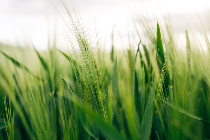 Due scienziati in tute protettive raccolgono campioni d'acqua vicino ai segnali di pericolo.