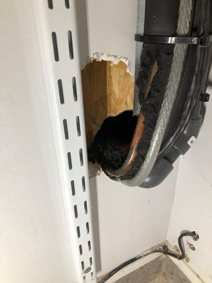 Insultation Stripped By Rats