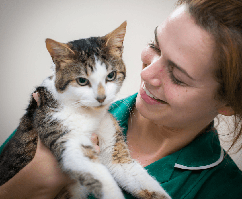a nurse with a cat