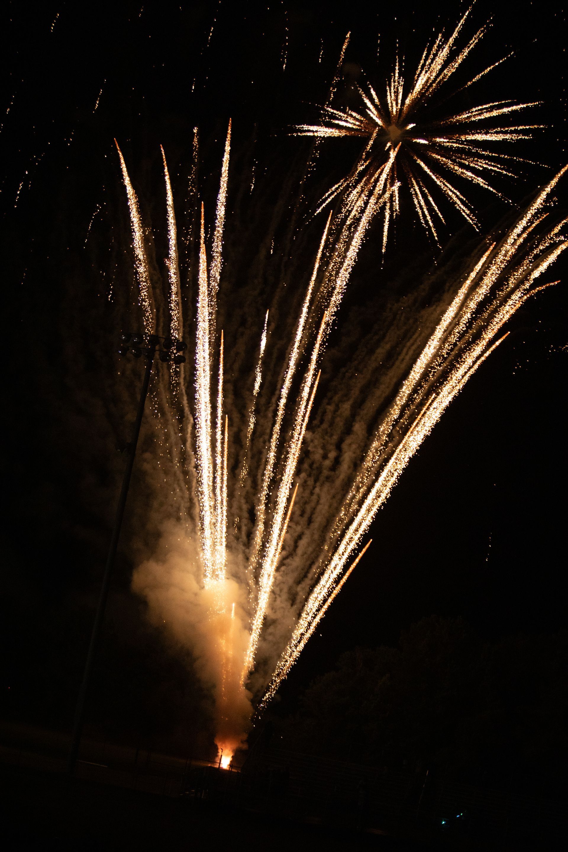 Golden fireworks exploding against a dark night sky.