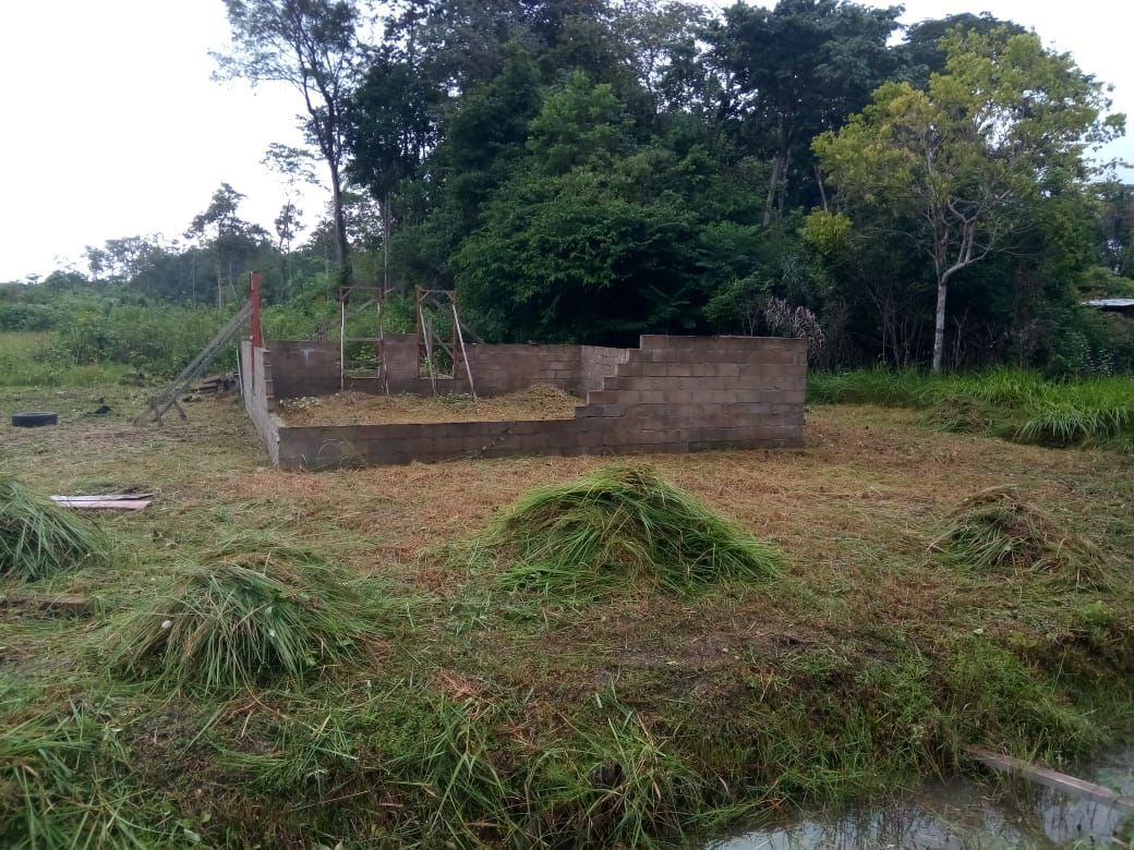 Partially built concrete structure in a grassy field with cut grass piles. Trees in the background.