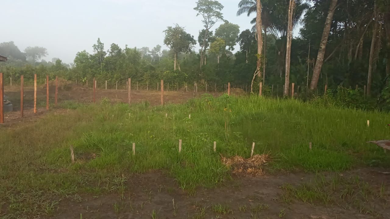 Grassy field with wooden stakes, fence, and trees; overcast sky.