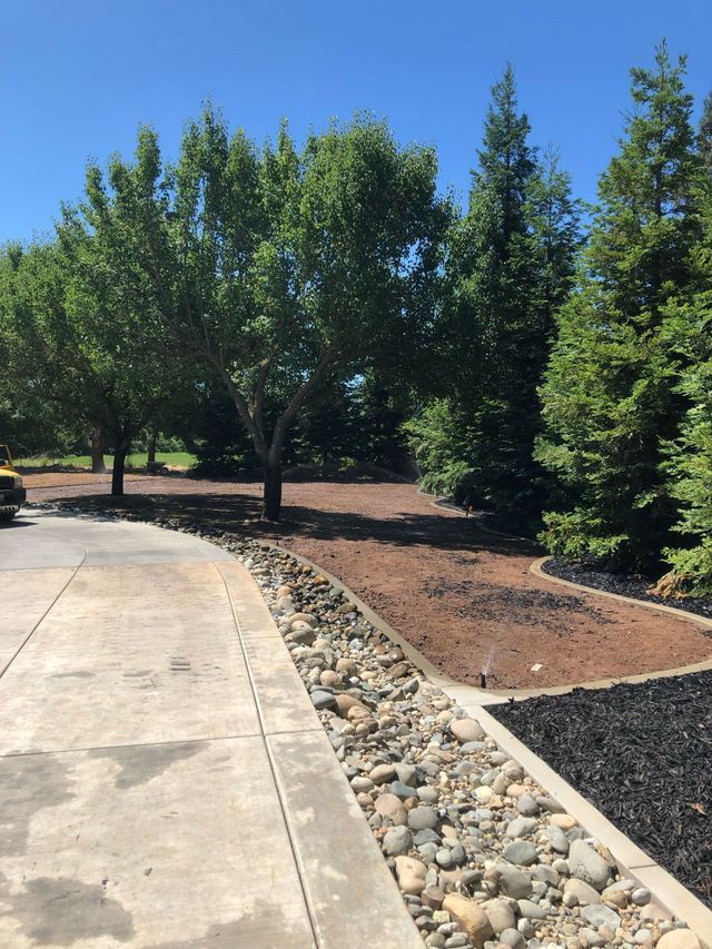 Driveway with Trees and Rocks – Elk Grove, CA – AVM Concrete