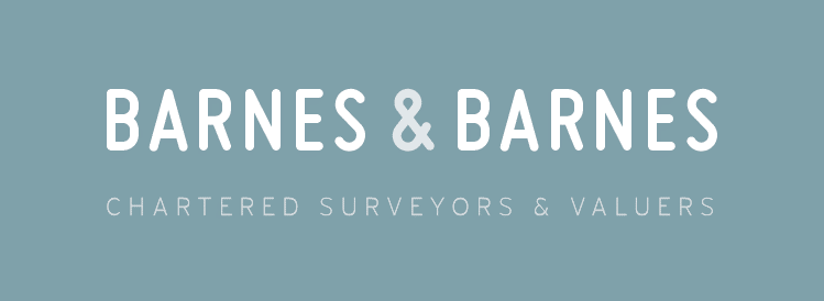 Barnes & Barnes Surveyors logo