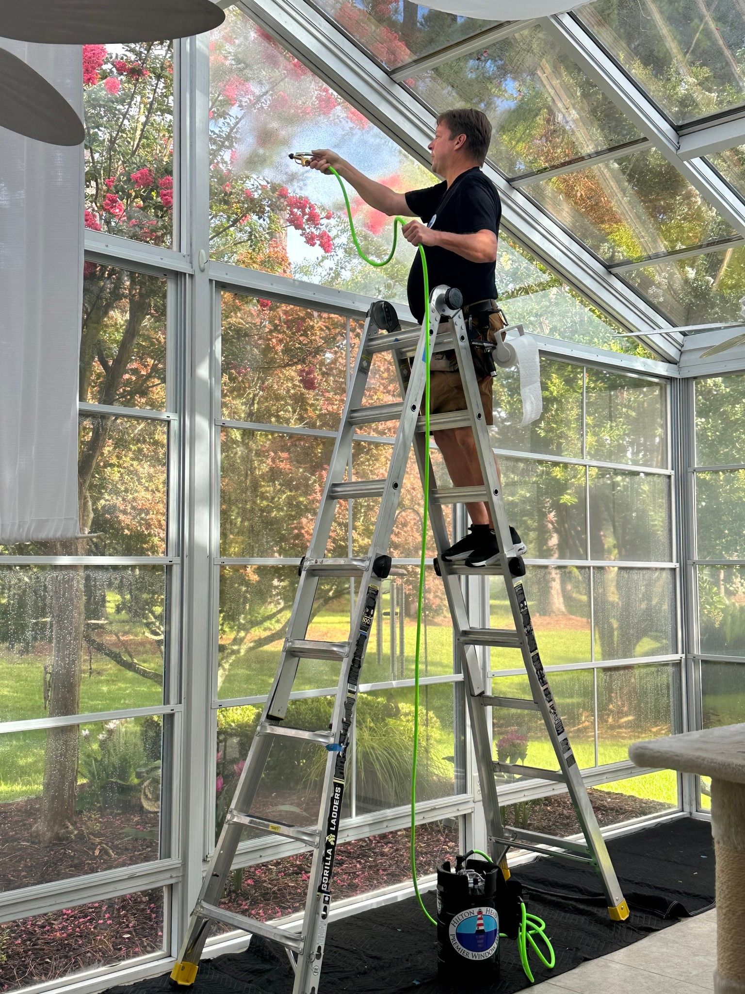 window tinting shop near me