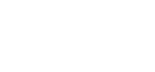 logo system copy