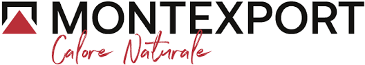 Logo Montexport con testo nero e icona a triangolo rosso, oltre allo slogan rosso 