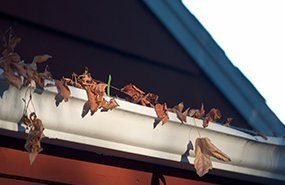 Leaves in gutter