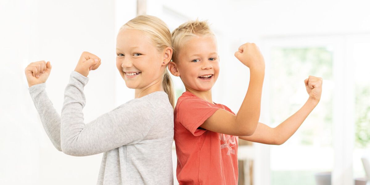 ISN Insektenschutz Partner werden