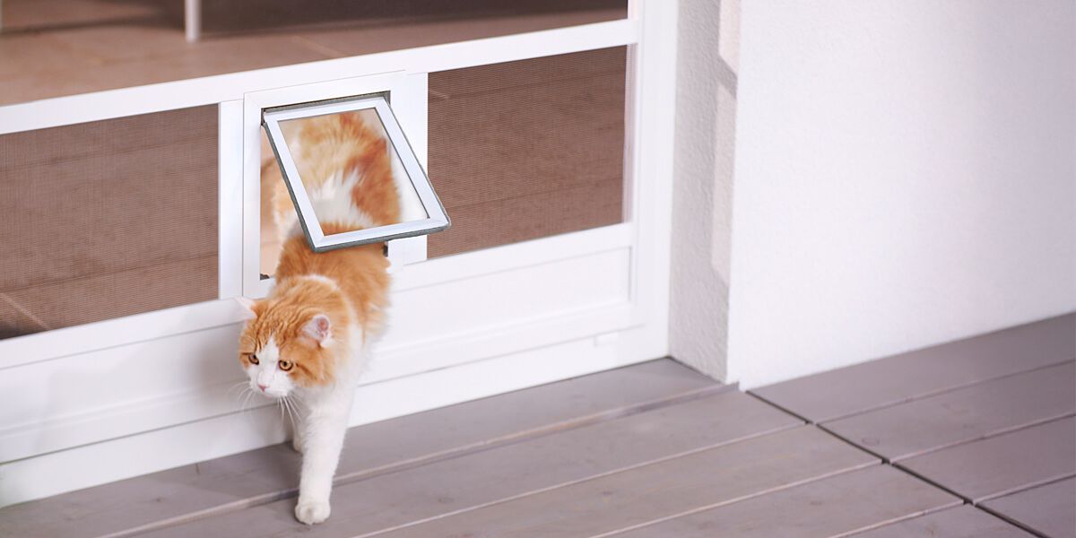 ISN Insektenschutz Drehrahmen mit Katzenklappe für Balkontüren und Terrassentüren