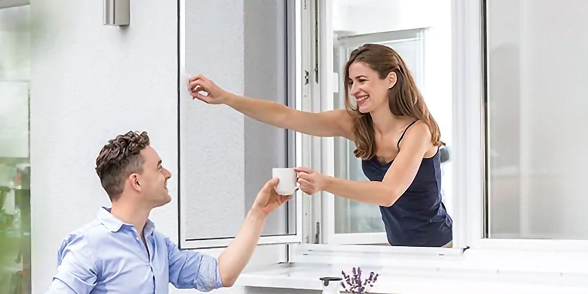 ISN Insektenschutz Dreh- und Pendelrahmen mit Fliegengitter