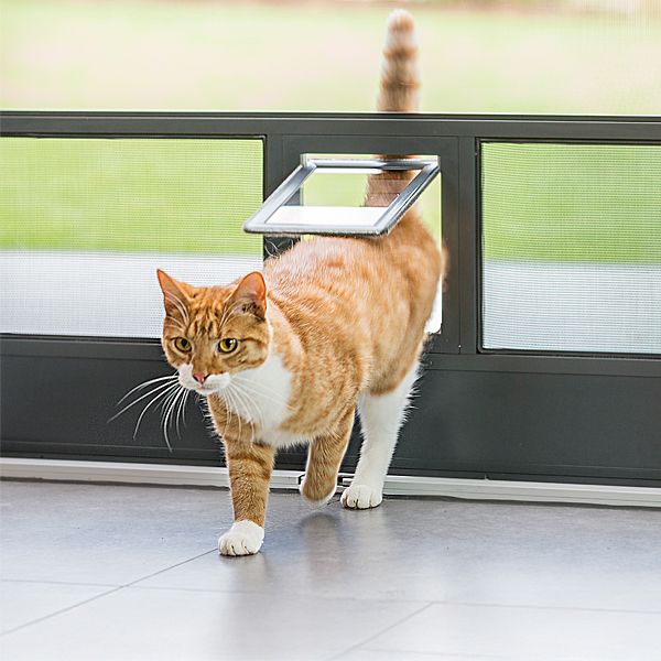 ISN Insektenschutzgitter bei Hund und Katze