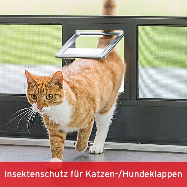 ISN Plissee für Klappläden