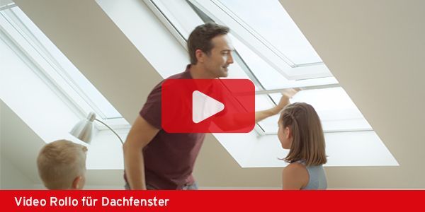 Video ISN Insektenschutz Rollo für Dachfenster