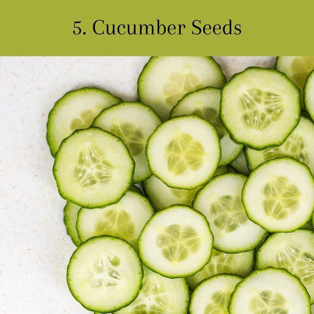 7 Herbs That Naturally Kill Parasites