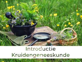 Workshop Introductie Kruidengeneeskunde