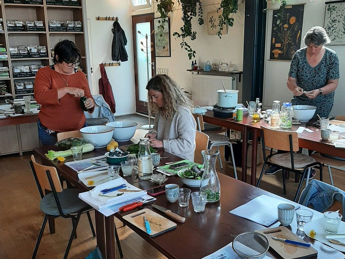 Workshop Detox met Geneeskrachtige Kruiden en Hydrotherapie