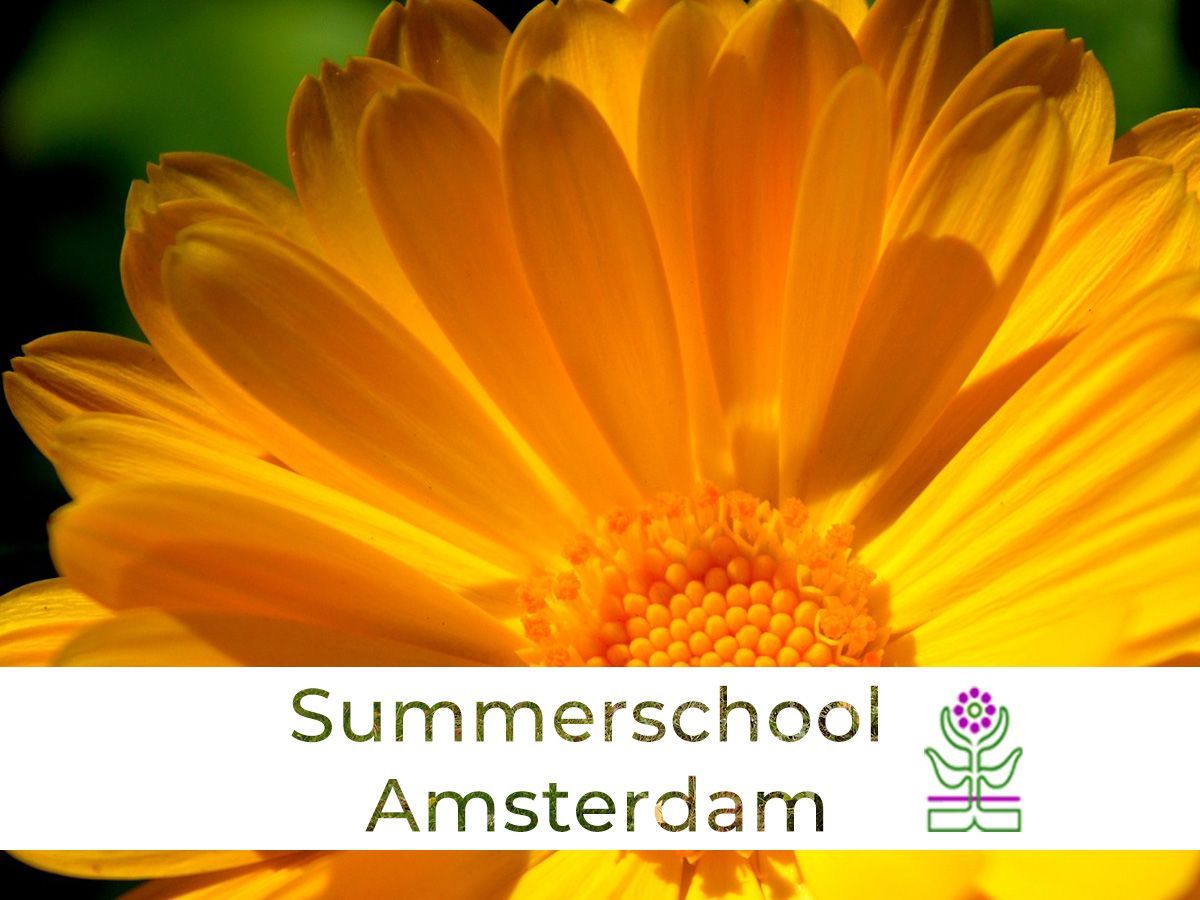 Tweedaagse Summerschool - Workshops geneeskrachtige Kruiden - De Kruidenschool in samenwerking met het Kruidenrijk