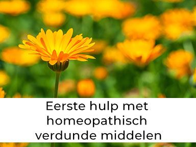 Workshop Introductie Kruidengeneeskunde