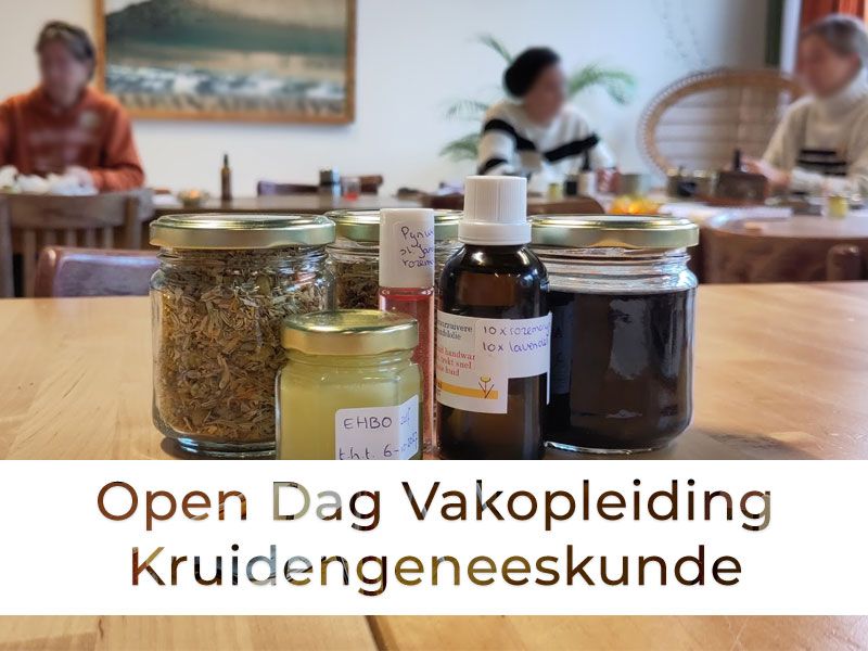 Workshop Natuurlijke Lichaamsverzorging Kruiden Producten DIY Amsterdam Kruidenschool