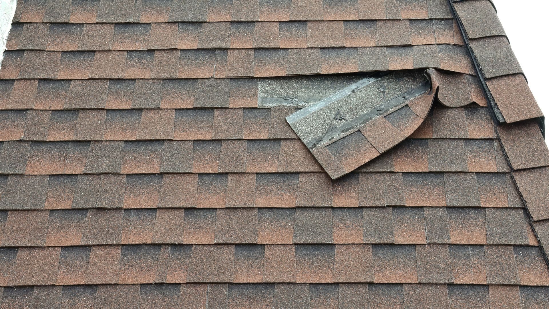 Damaged asphalt shingle on a brown roof. A large section of shingles is missing.