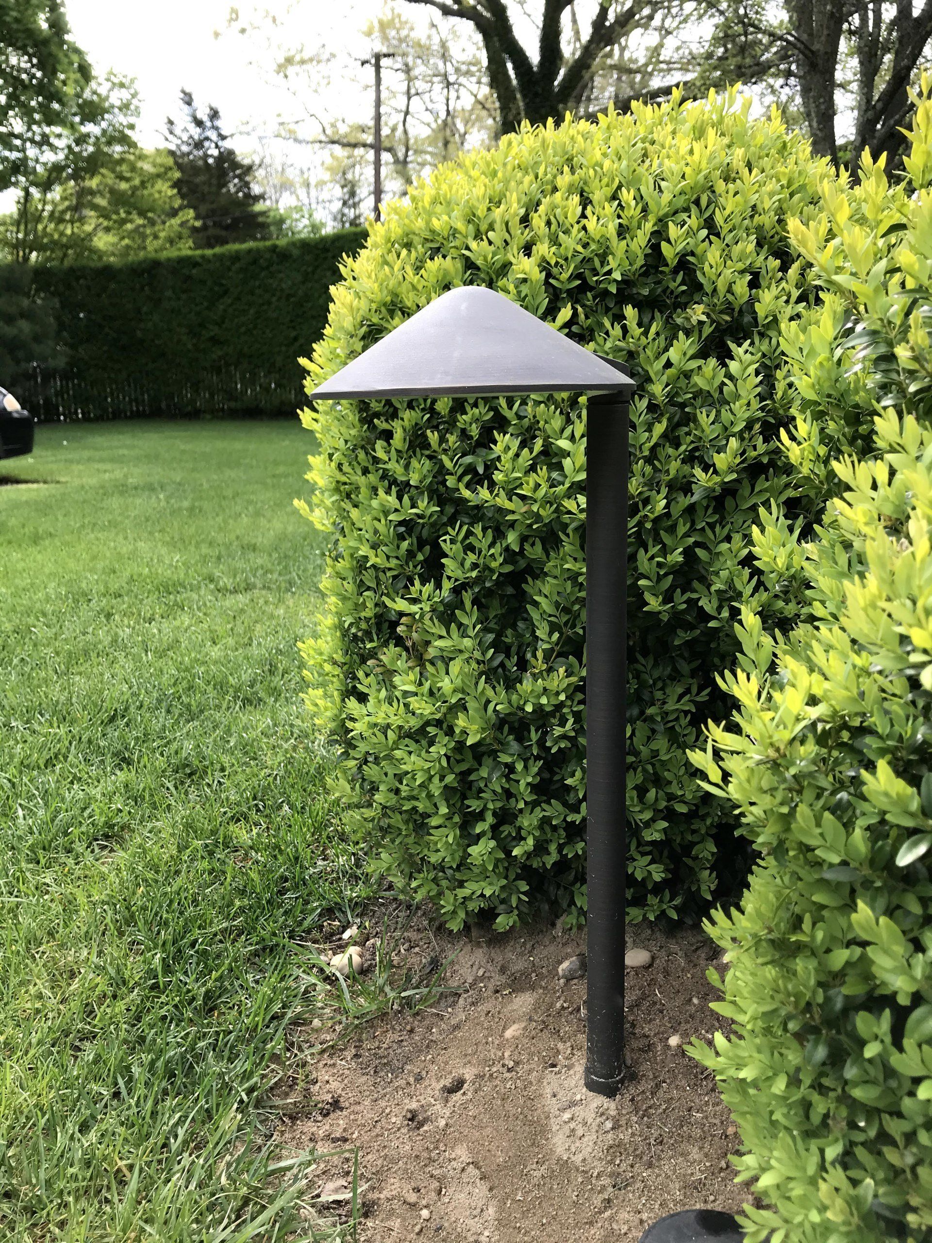 A lamp is sitting in the middle of a lush green field.