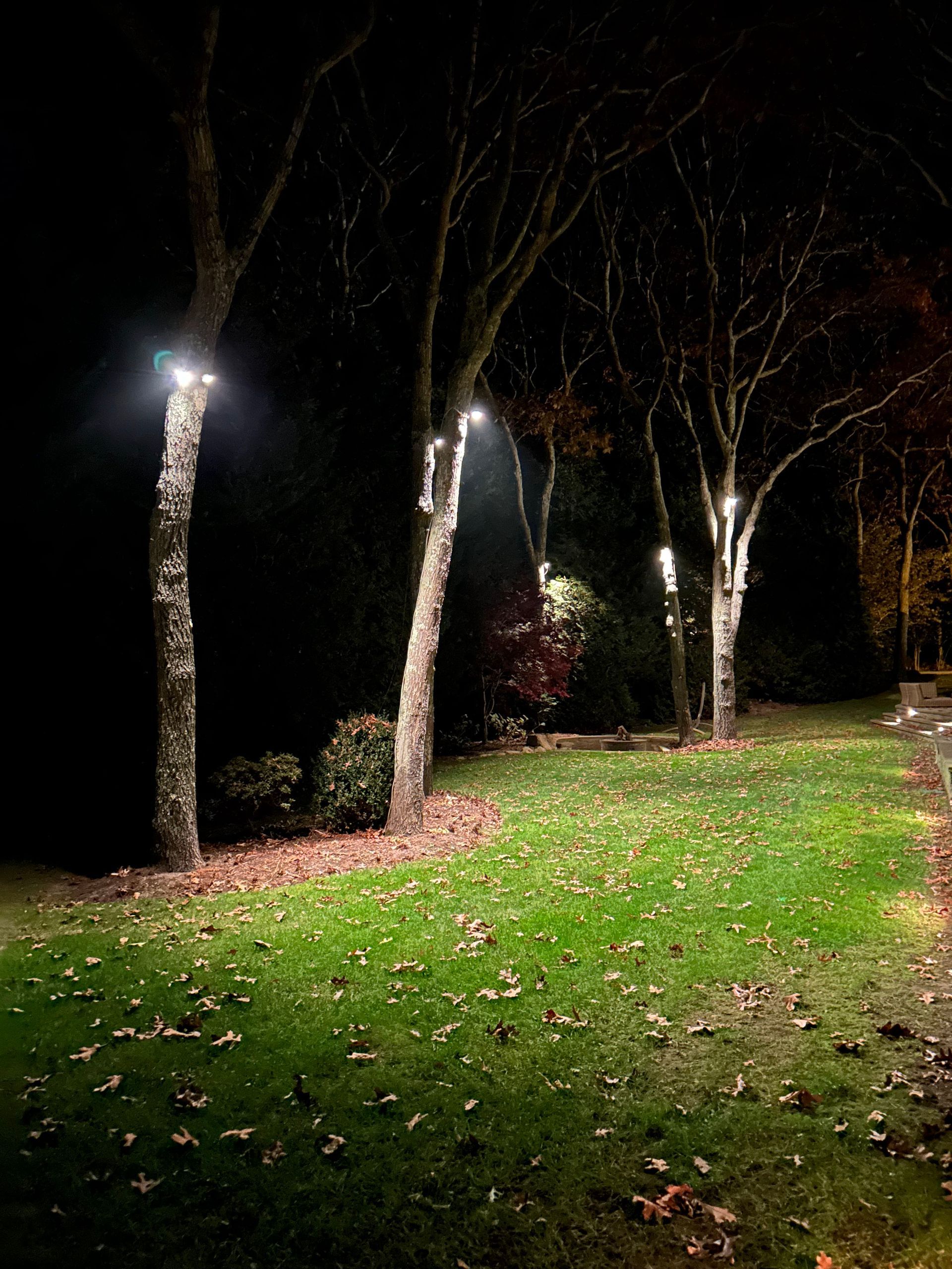 A lush green field with trees and lights at night.