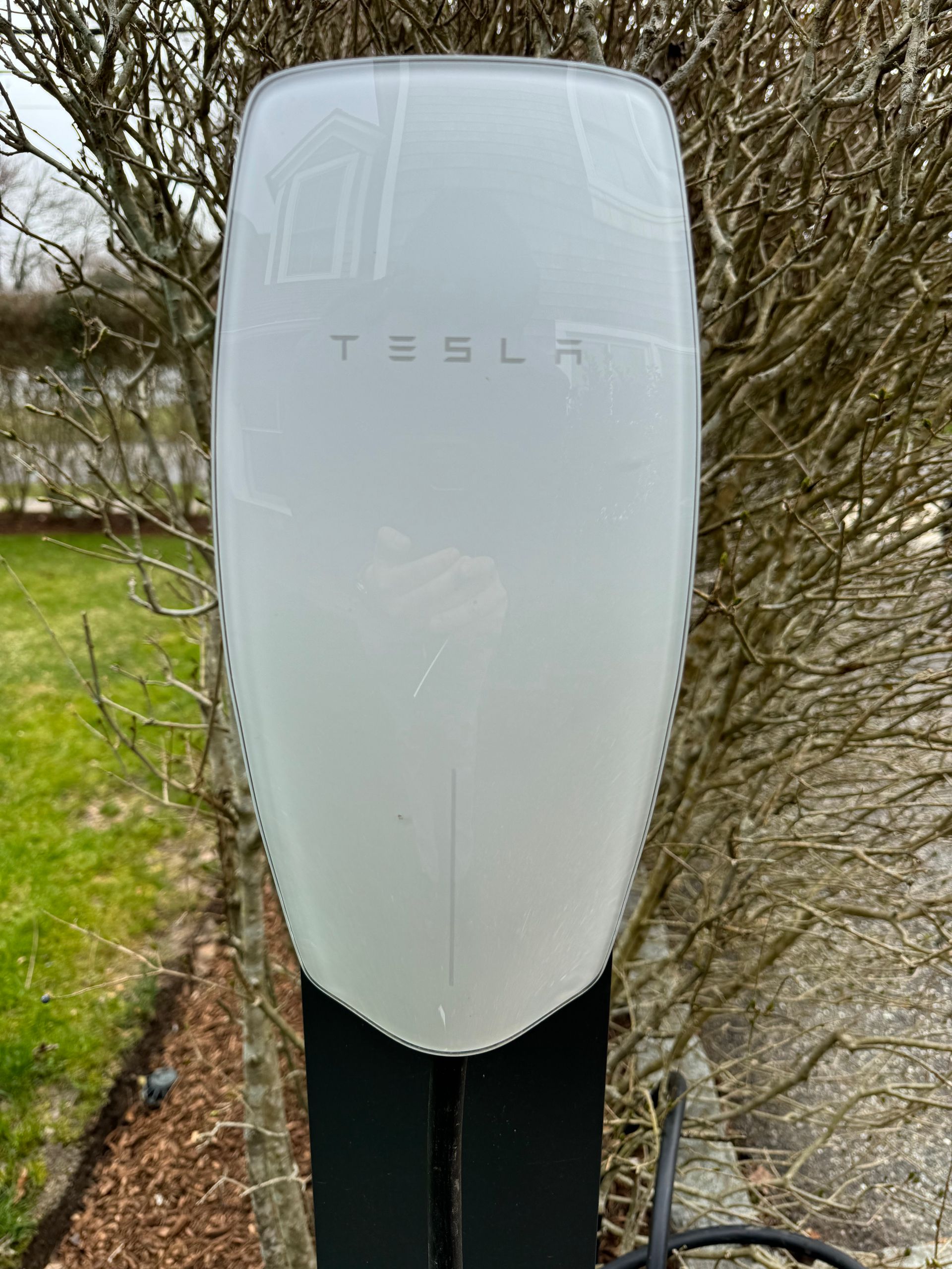 A tesla charging station is sitting next to a tree.
