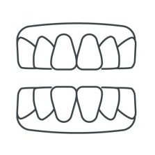 Contour des dents supérieures et inférieures, montrant les dents de devant visibles dans un dessin au trait simple.