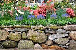 Stone wall in front of colorful spring flowers, including pink azaleas, bluebells, and daffodils.