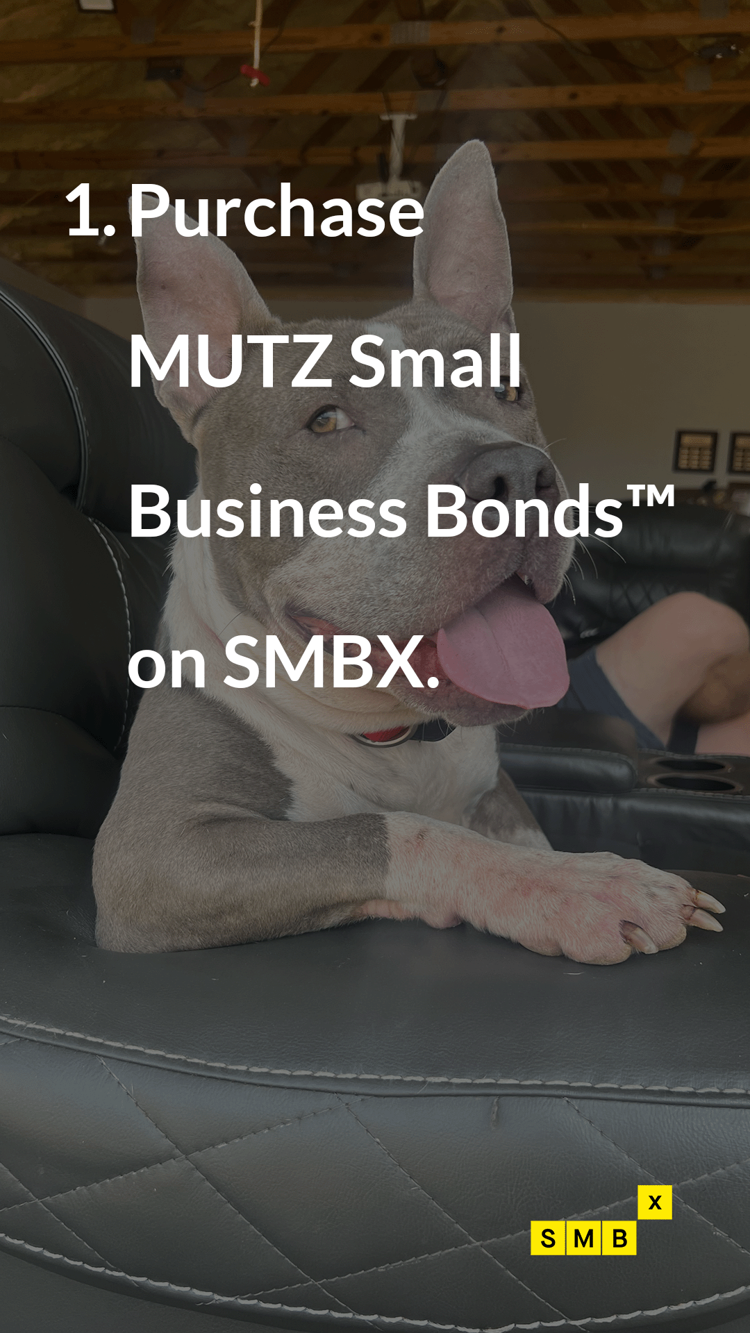 SMBX Instagram story - Get paid back principal plus 11% interest over 4 years