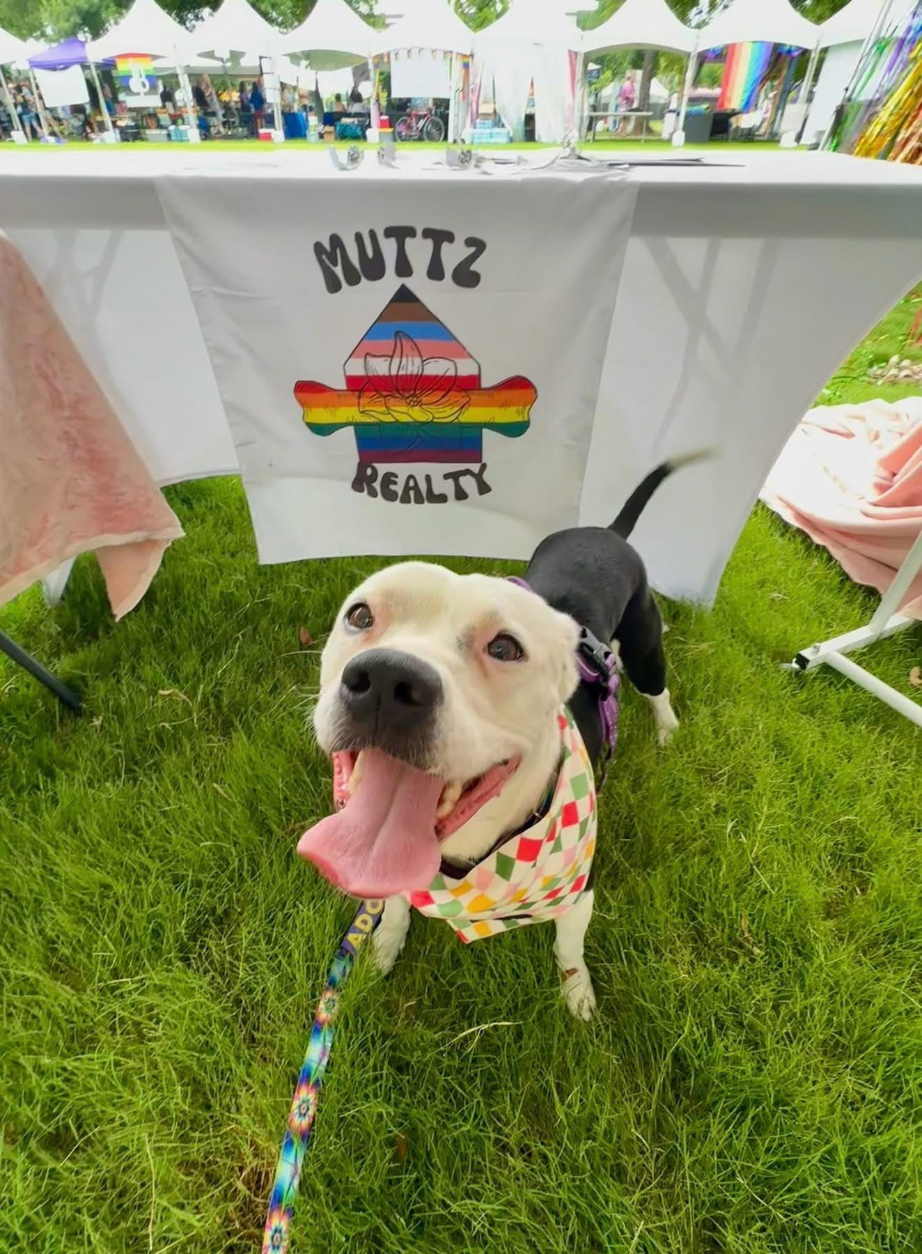 Adoptable dog with Muttz Realty team at Nashville Pride with rainbow flag