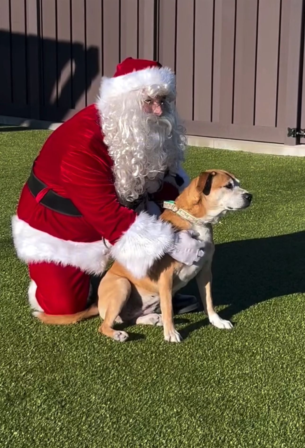Muttz Realty team as Santa with Old Friends Senior Dog Sanctuary