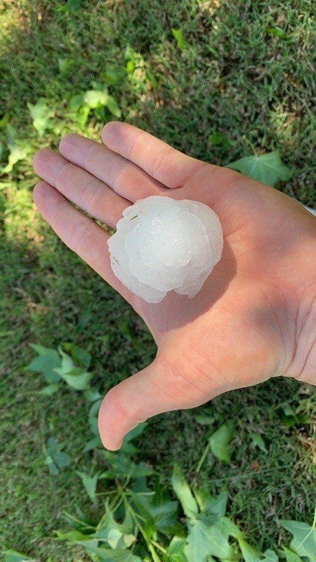 a person is holding a piece of hail in their hand .