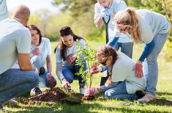 CUSA and the Sustainable Development Goals (SDGs)