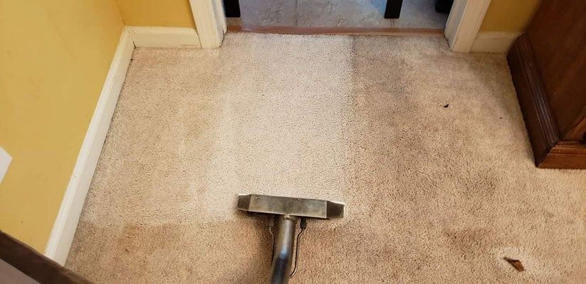 Cleaning Carpet - Sumter, SC - Murrells Cleaning Service
