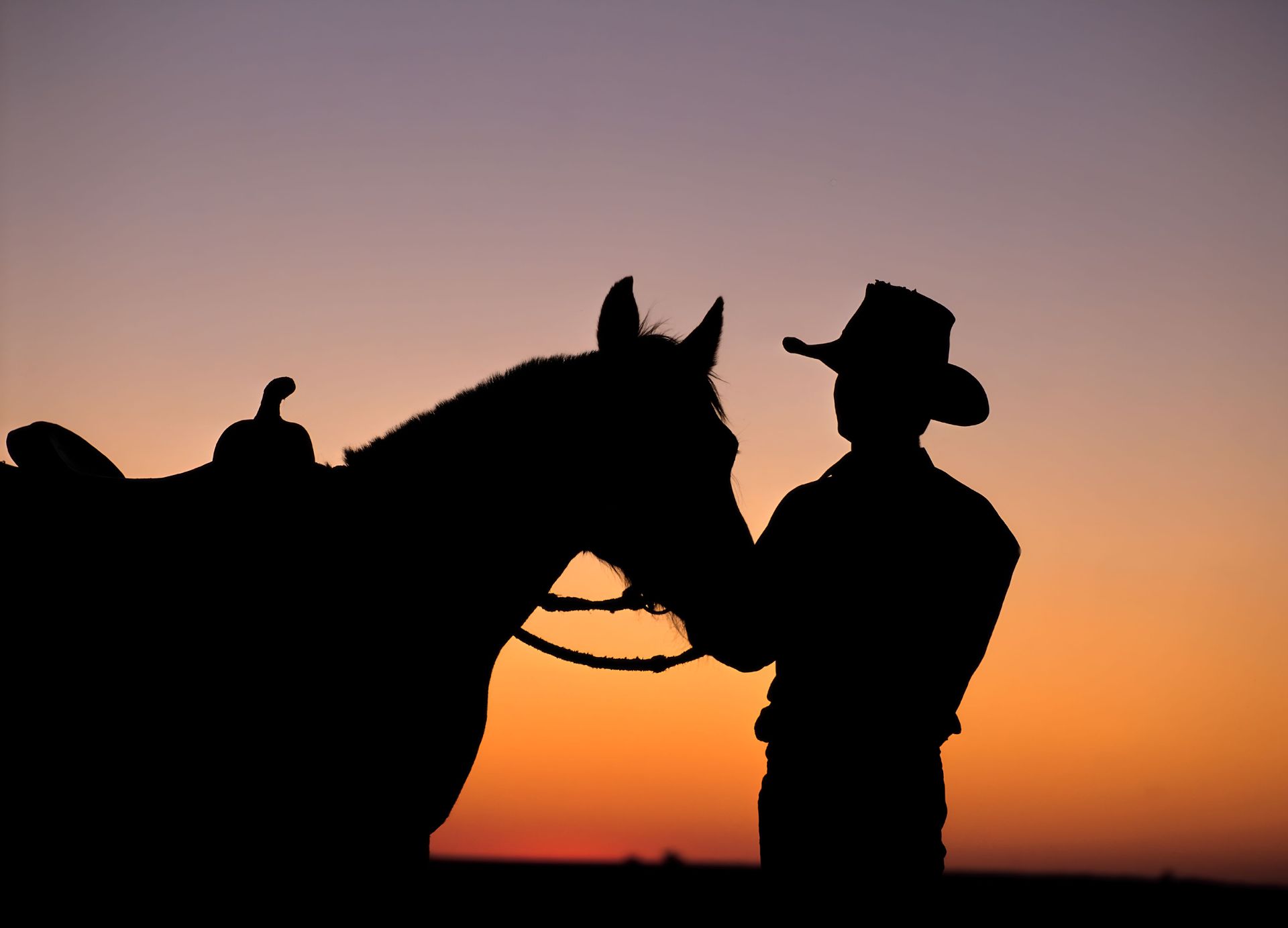 A Man In A Cowboy Hat Stands Next To A Horse At Sunset — Shellie's Country Wear In Nabiac, NSW