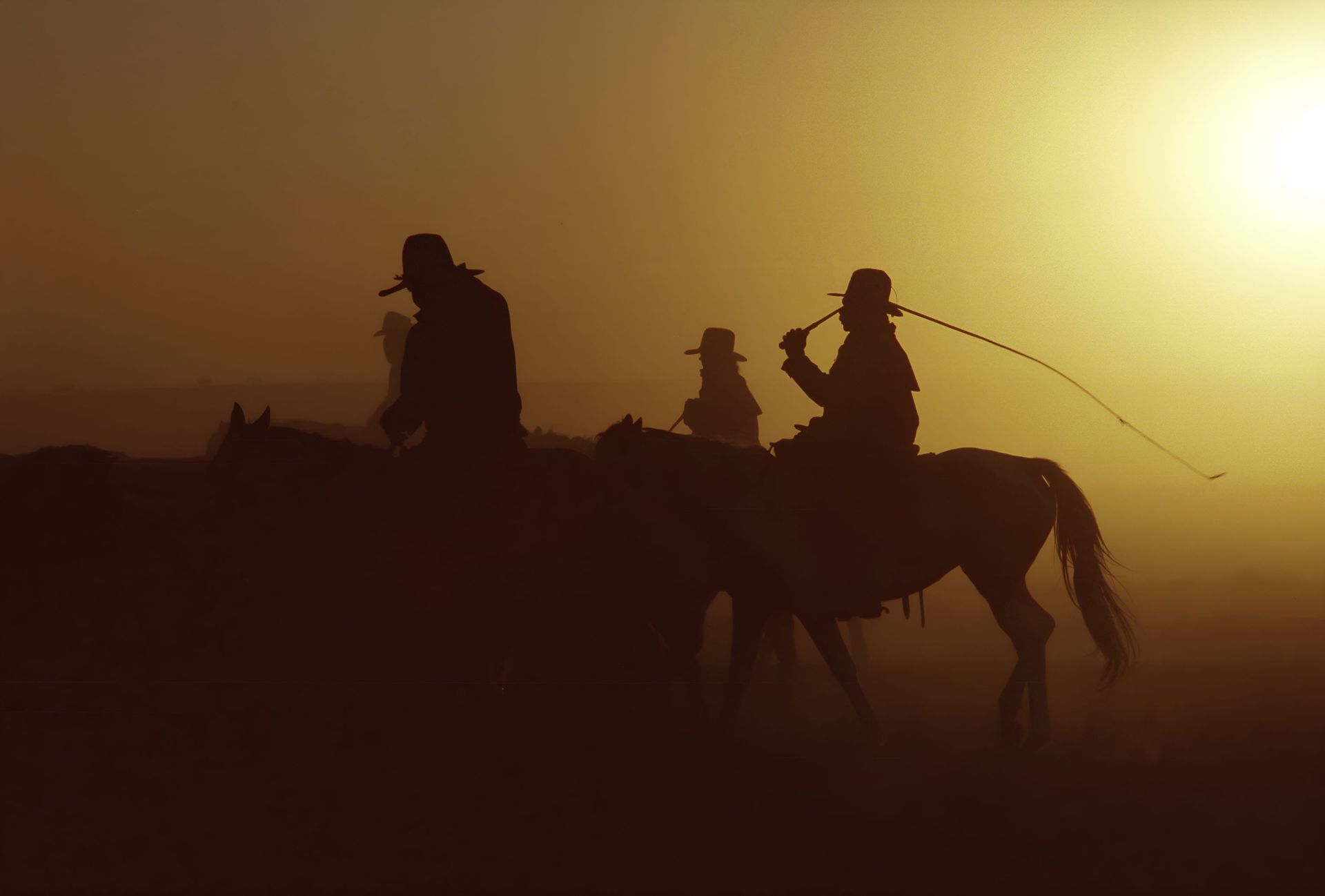 A Group Of Cowboys Are Riding Horses In A Field At Sunset — Shellie's Country Wear In Taree, NSW