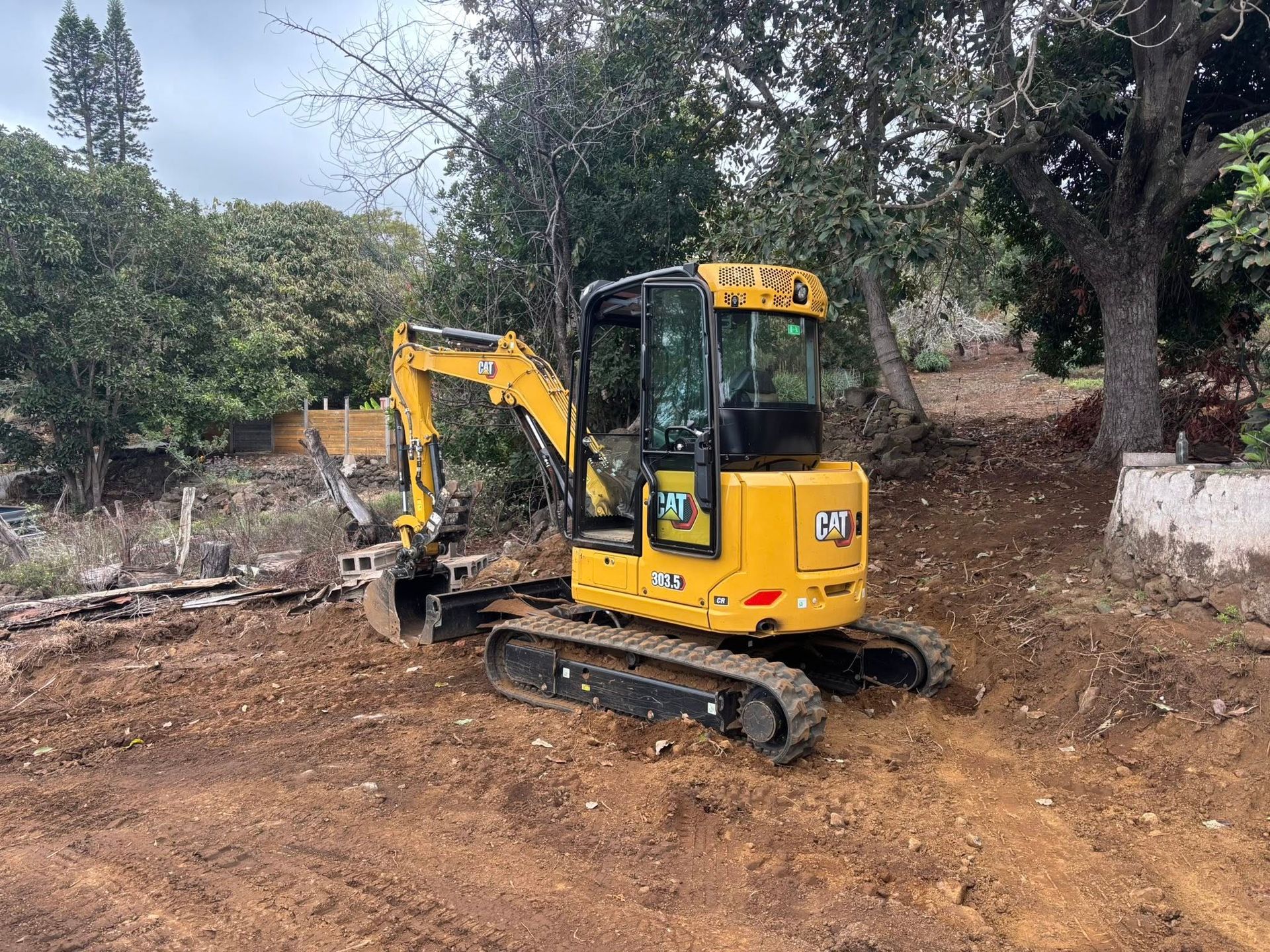 A yellow Caterpillar mini excavator sits on a dirt plot in a wooded area, preparing to dig into the ground.