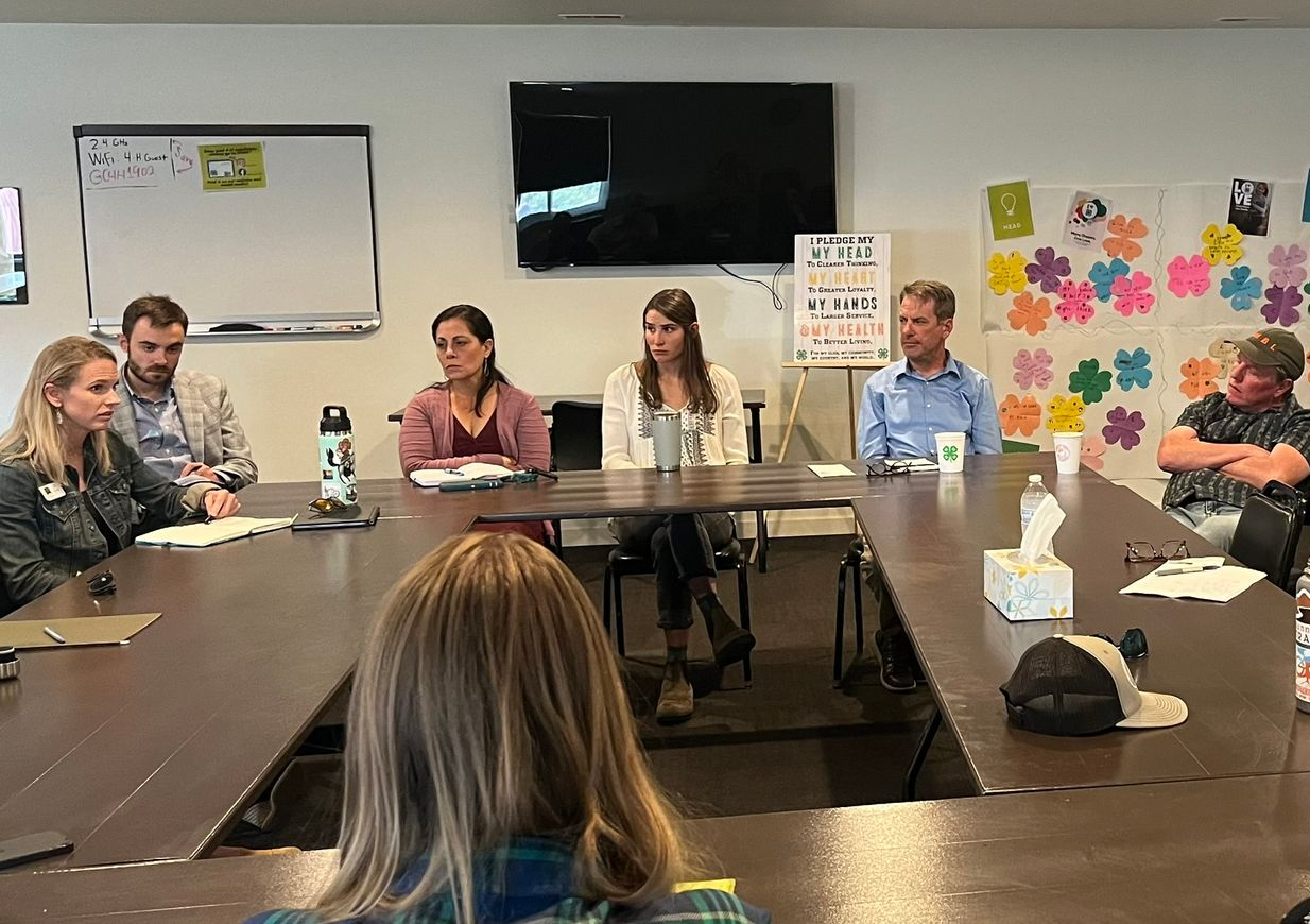 people sitting around conference table