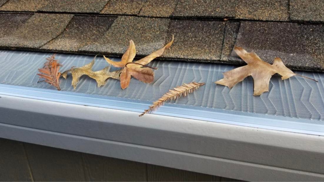 Leaves on a gutter guard installed on a roof's edge.