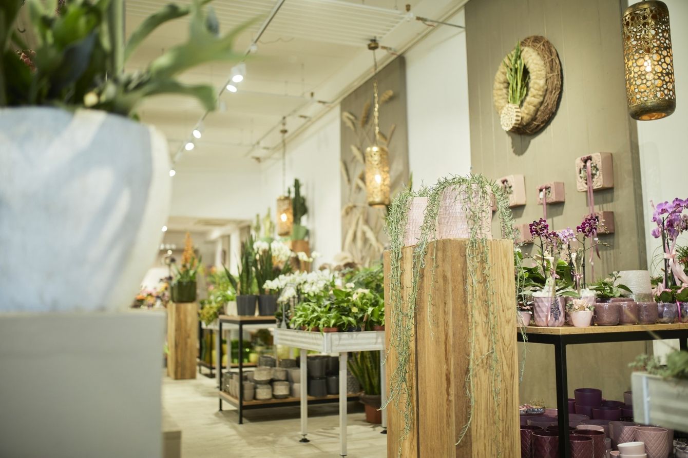 Blumen Engele - Florathek in Graz | Blumen mit Bedeutung