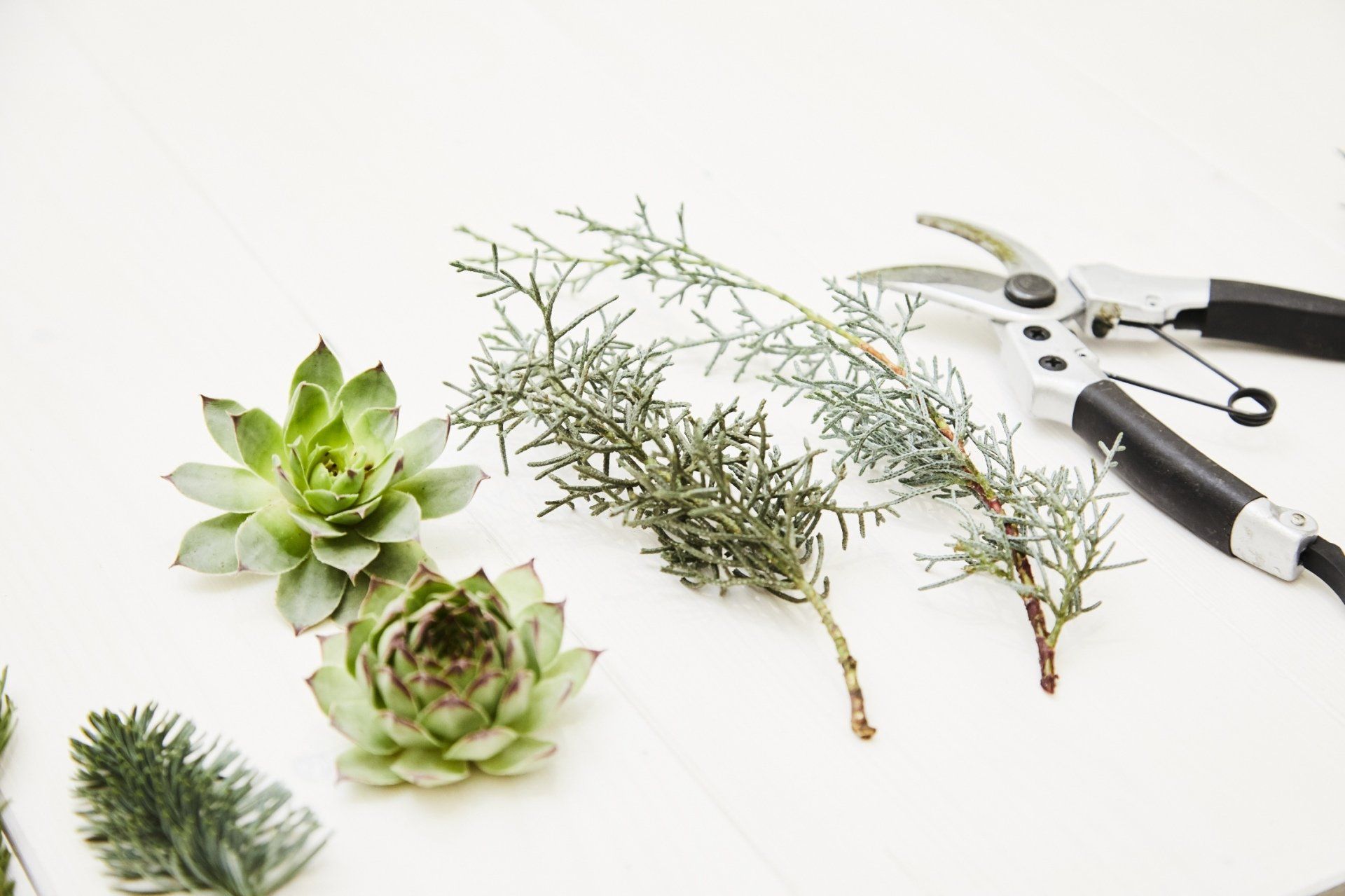 Florathek, Blumen Engele, Workshops